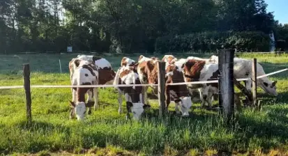 vente à la ferme 90